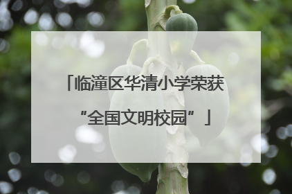 临潼区华清小学荣获“全国文明校园”