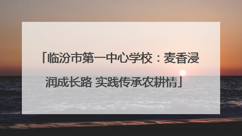 临汾市第一中心学校：麦香浸润成长路 实践传承农耕情