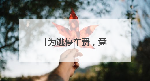 为逃停车费，竟套牌包月车……三名男子被罚！