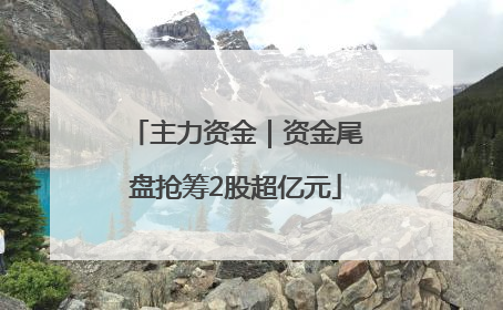 主力资金｜资金尾盘抢筹2股超亿元