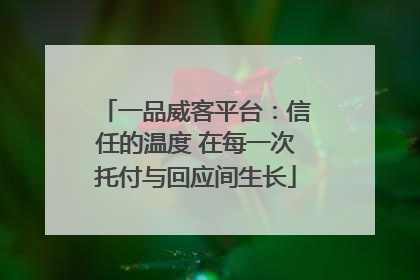 一品威客平台：信任的温度 在每一次托付与回应间生长