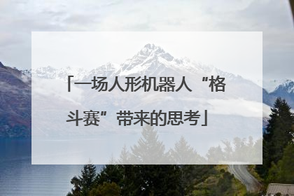 一场人形机器人“格斗赛”带来的思考