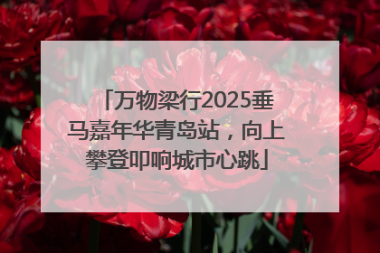 万物梁行2025垂马嘉年华青岛站，向上攀登叩响城市心跳