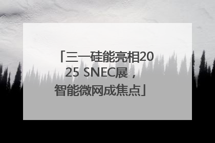 三一硅能亮相2025 SNEC展，智能微网成焦点