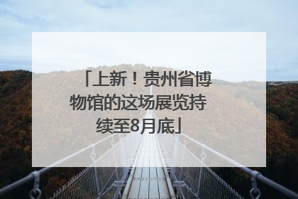 上新！贵州省博物馆的这场展览持续至8月底