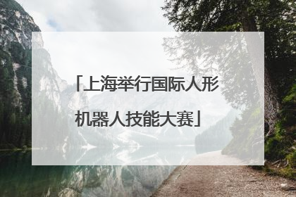 上海举行国际人形机器人技能大赛