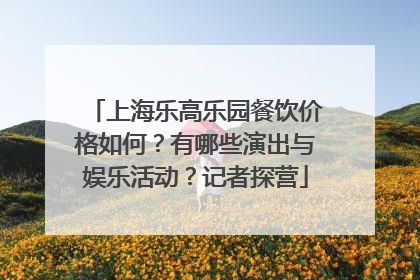 上海乐高乐园餐饮价格如何？有哪些演出与娱乐活动？记者探营