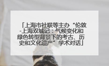 上海市社联等主办“伦敦-上海双城记：气候变化和绿色转型背景下的考古、历史和文化遗产”学术对话