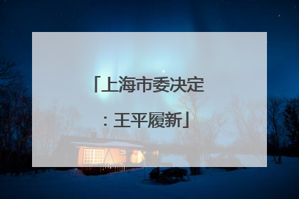 上海市委决定：王平履新