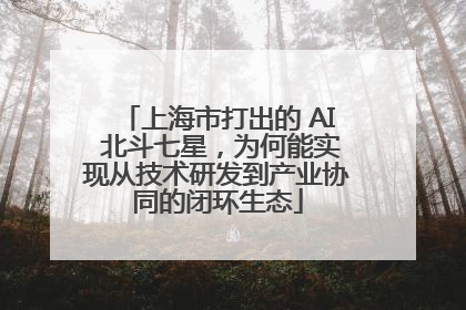 上海市打出的 AI 北斗七星，为何能实现从技术研发到产业协同的闭环生态