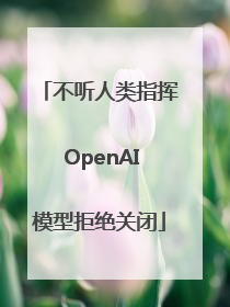 不听人类指挥 OpenAI模型拒绝关闭