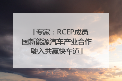 专家：RCEP成员国新能源汽车产业合作驶入共赢快车道