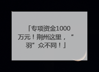 专项资金1000万元！荆州这里，“羽”众不同！
