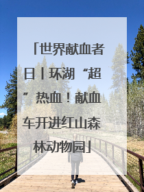 世界献血者日丨环湖“超”热血！献血车开进红山森林动物园
