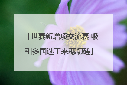 世赛新增项交流赛 吸引多国选手来穗切磋