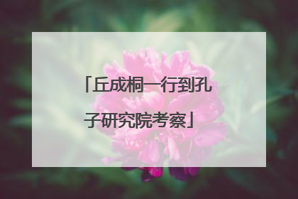 丘成桐一行到孔子研究院考察