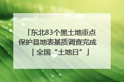 东北83个黑土地重点保护县地表基质调查完成｜全国“土地日”