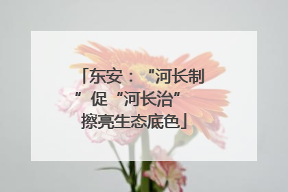 东安：“河长制”促“河长治” 擦亮生态底色