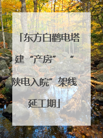东方白鹳电塔建“产房” “陕电入皖”架线延工期