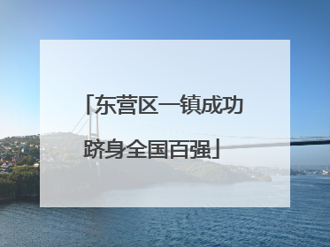 东营区一镇成功跻身全国百强