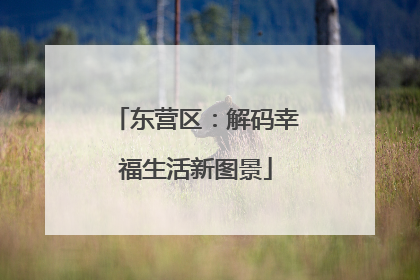 东营区：解码幸福生活新图景