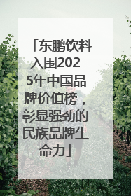 东鹏饮料入围2025年中国品牌价值榜，彰显强劲的民族品牌生命力