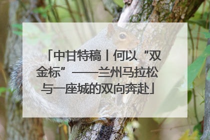 中甘特稿丨何以“双金标”——兰州马拉松与一座城的双向奔赴