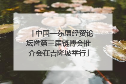 中国—东盟经贸论坛暨第三届链博会推介会在吉隆坡举行