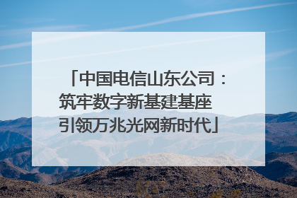 中国电信山东公司：筑牢数字新基建基座 引领万兆光网新时代