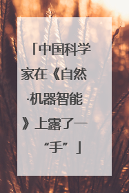 中国科学家在《自然·机器智能》上露了一“手”