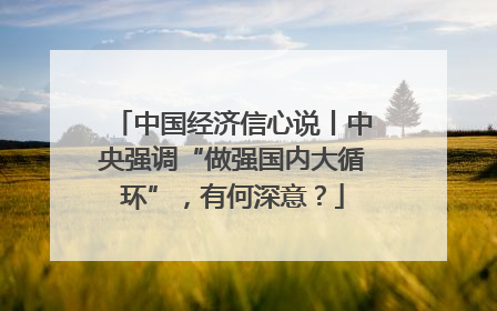 中国经济信心说丨中央强调“做强国内大循环”，有何深意？