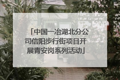 中国一冶湖北分公司信阳步行街项目开展青安岗系列活动