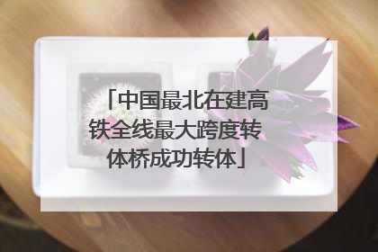 中国最北在建高铁全线最大跨度转体桥成功转体