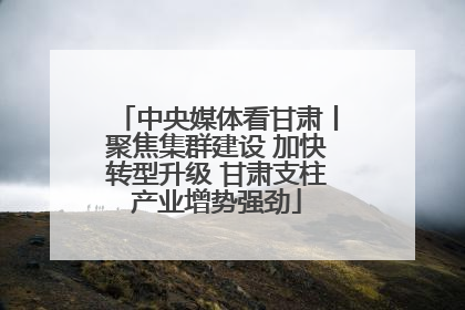 中央媒体看甘肃丨聚焦集群建设 加快转型升级 甘肃支柱产业增势强劲