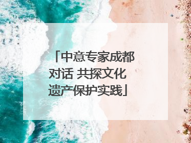中意专家成都对话 共探文化遗产保护实践