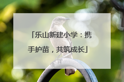 乐山新建小学：携手护苗，共筑成长