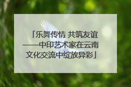 乐舞传情 共筑友谊——中印艺术家在云南文化交流中绽放异彩