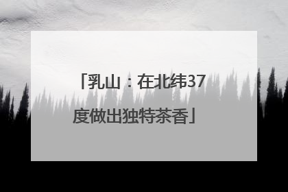 乳山：在北纬37度做出独特茶香