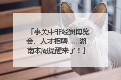事关中非经贸博览会、人才招聘……湖南本周提醒来了！