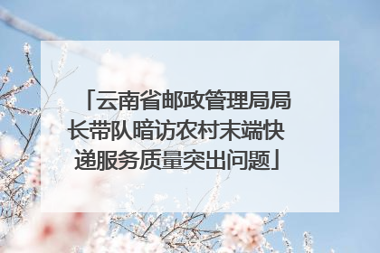 云南省邮政管理局局长带队暗访农村末端快递服务质量突出问题
