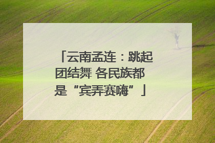 云南孟连：跳起团结舞 各民族都是“宾弄赛嗨”
