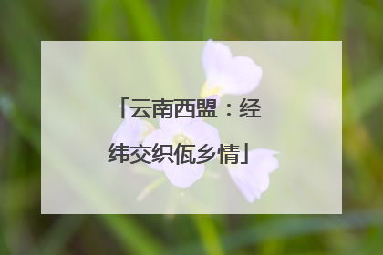 云南西盟：经纬交织佤乡情