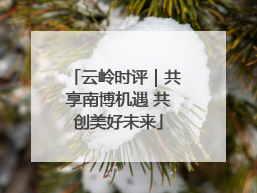 云岭时评｜共享南博机遇 共创美好未来