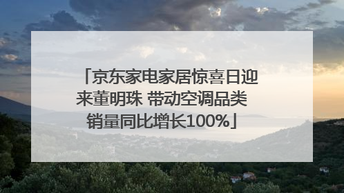 京东家电家居惊喜日迎来董明珠 带动空调品类销量同比增长100%