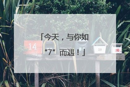 今天，与你如“7”而遇！