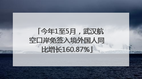 今年1至5月，武汉航空口岸免签入境外国人同比增长160.87%