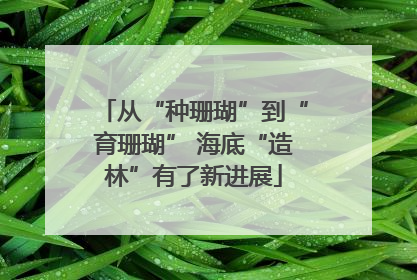 从“种珊瑚”到“育珊瑚” 海底“造林”有了新进展