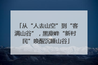 从“人去山空”到“客满山谷”，黑麋峰“新村民”唤醒沉睡山谷