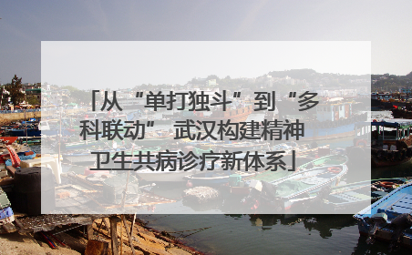 从“单打独斗”到“多科联动” 武汉构建精神卫生共病诊疗新体系
