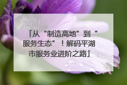 从“制造高地”到“服务生态”！解码平湖市服务业进阶之路